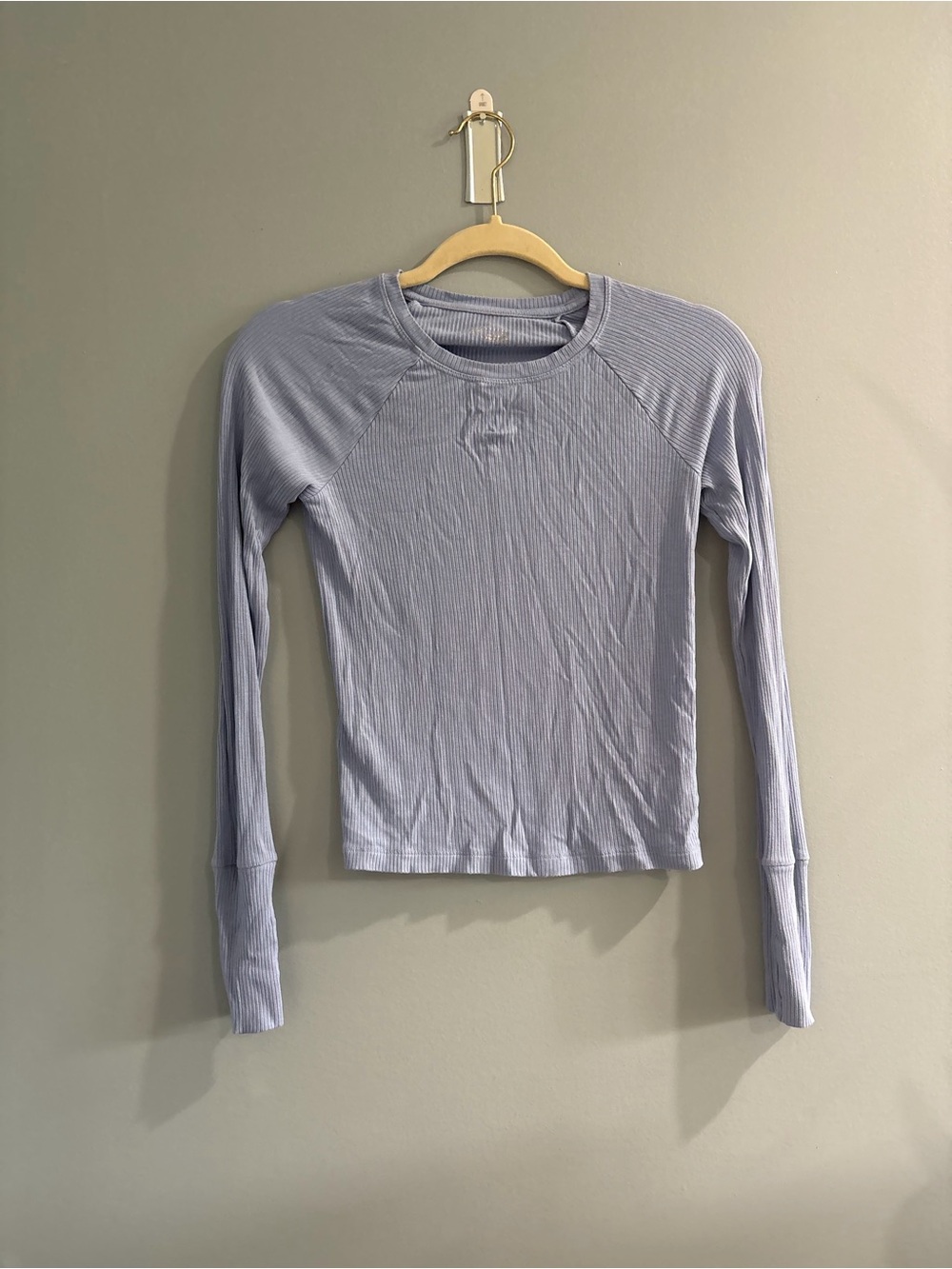 Light Lavender Ribbed Long-Sleeve Crewneck Top